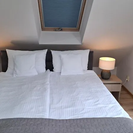 Szelega منزل للإقامة